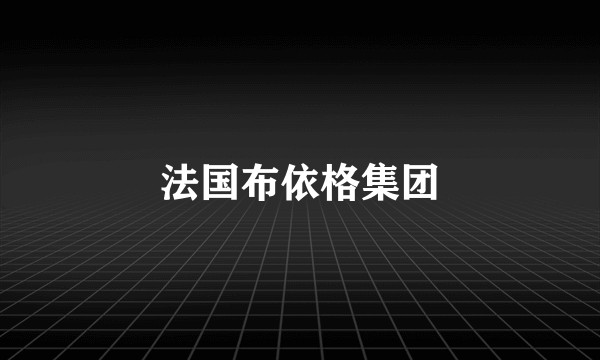 法国布依格集团