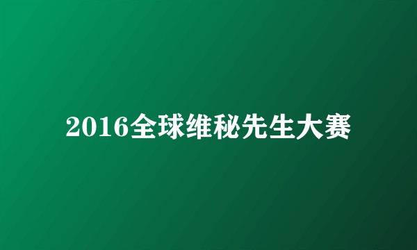 2016全球维秘先生大赛