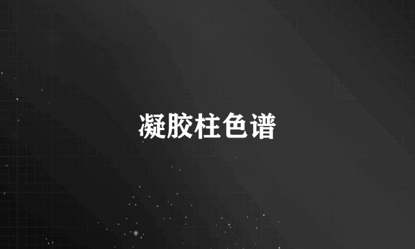 凝胶柱色谱