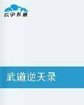 武道逆天录
