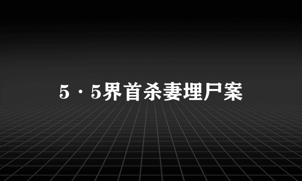 5·5界首杀妻埋尸案