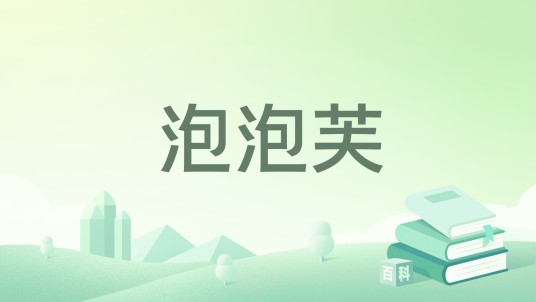 泡泡芙（抖音创作者）