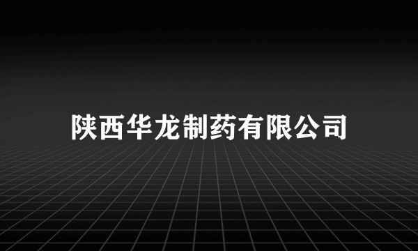 陕西华龙制药有限公司