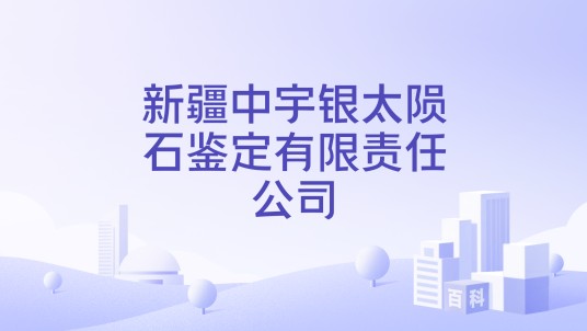 新疆中宇银太陨石鉴定有限责任公司