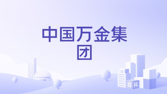 中国万金集团