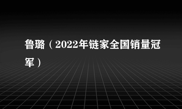 鲁璐（2022年链家全国销量冠军）