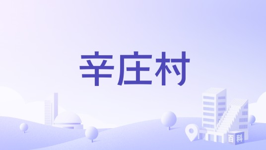 辛庄村（天津市北辰区双街镇辛庄村）
