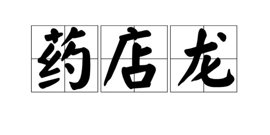 药店龙