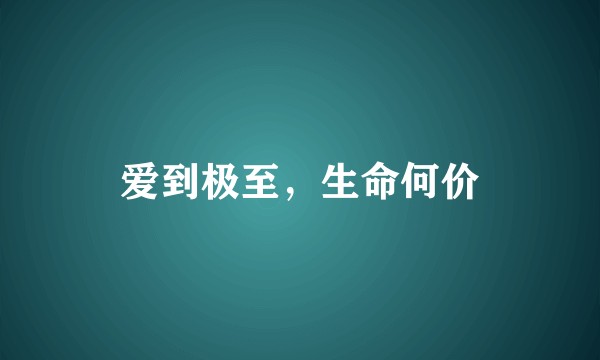 爱到极至，生命何价