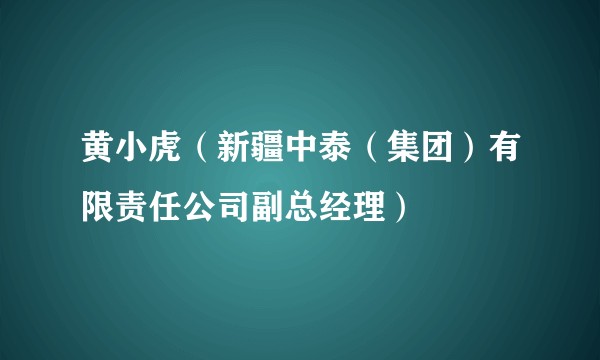 黄小虎（新疆中泰（集团）有限责任公司副总经理）
