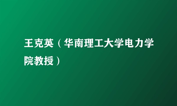 王克英（华南理工大学电力学院教授）