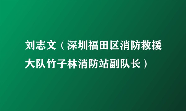 刘志文（深圳福田区消防救援大队竹子林消防站副队长）