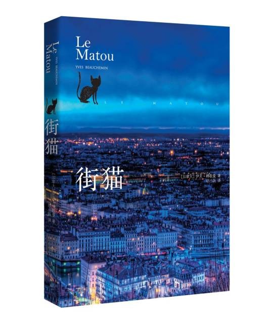 街猫