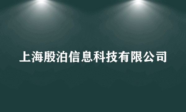 上海殷泊信息科技有限公司