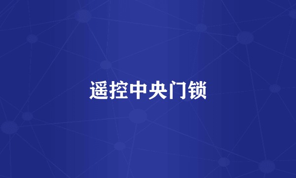 遥控中央门锁