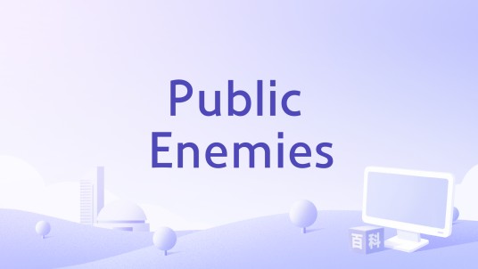 Public Enemies（阿尔伯特·S·罗吉尔执导的电影）