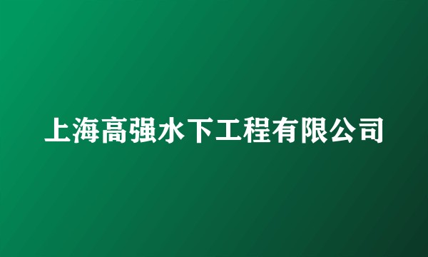 上海高强水下工程有限公司