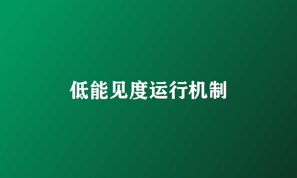 低能见度运行机制