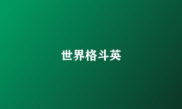 世界格斗英