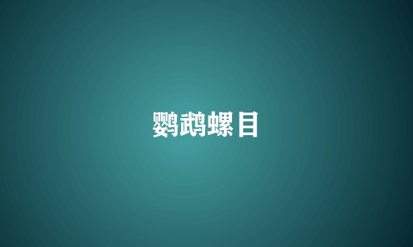 鹦鹉螺目