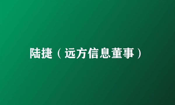陆捷（远方信息董事）
