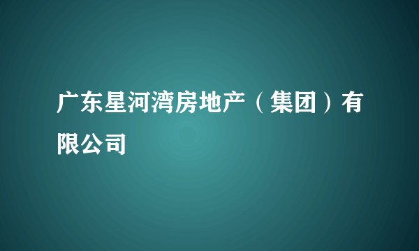 广东星河湾房地产（集团）有限公司