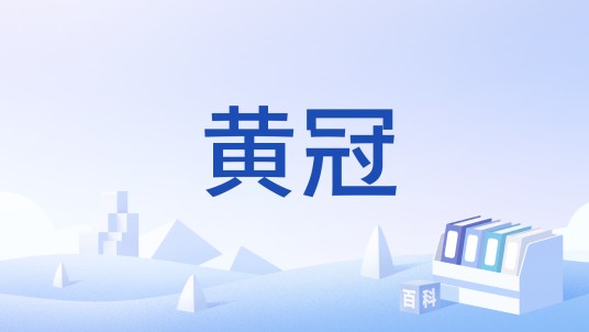 黄冠（传统服饰）