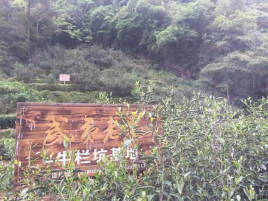 牛栏坑