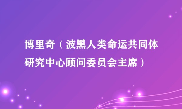 博里奇(波黑人类命运共同体研究中心顾问委员会主席)