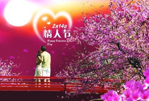 紫色情人