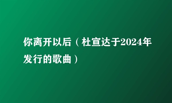 你离开以后（杜宣达于2024年发行的歌曲）