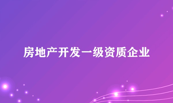 房地产开发一级资质企业