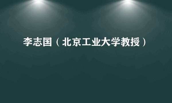 李志国（北京工业大学教授）