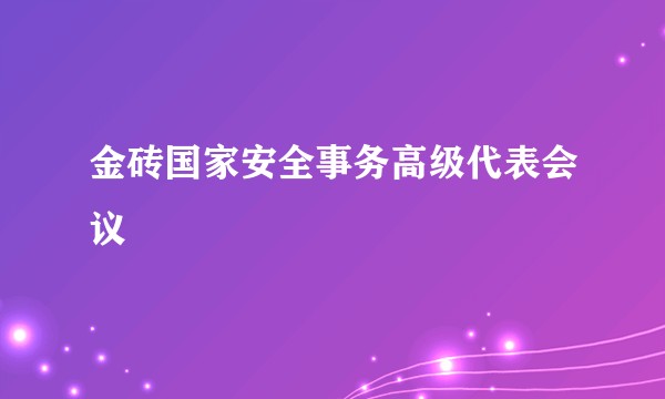 金砖国家安全事务高级代表会议