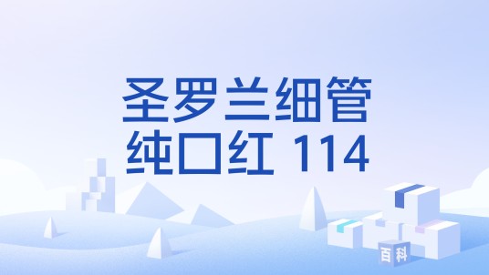 圣罗兰细管纯口红 114