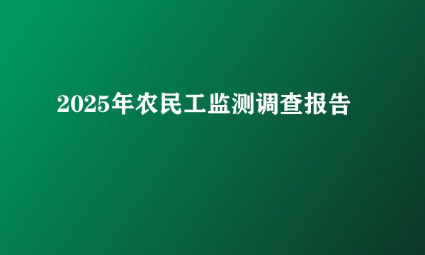 2025年农民工监测调查报告