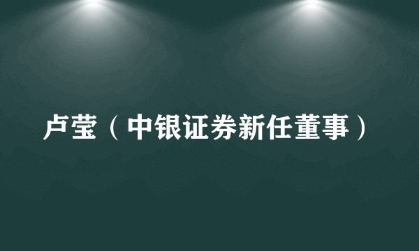 卢莹（中银证券新任董事）