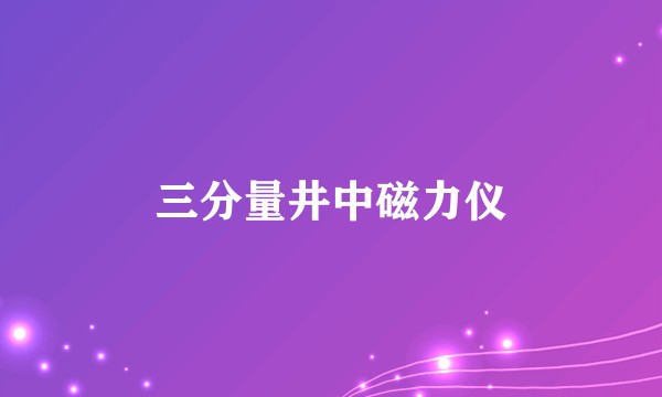 三分量井中磁力仪