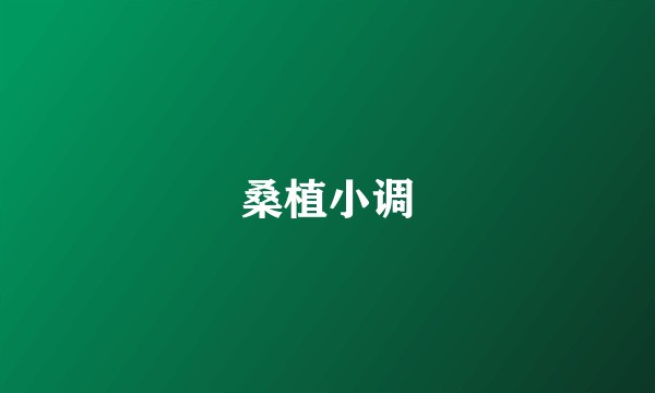 桑植小调