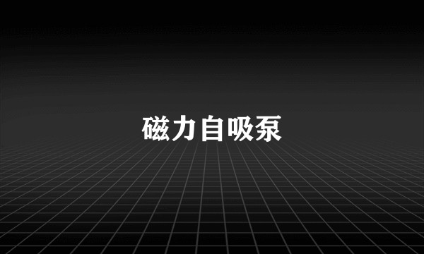 磁力自吸泵
