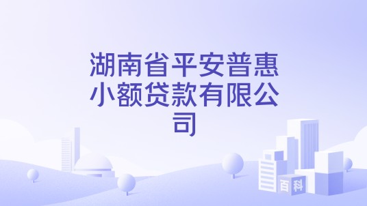 湖南省平安普惠小额贷款有限公司