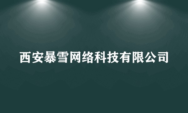 西安暴雪网络科技有限公司