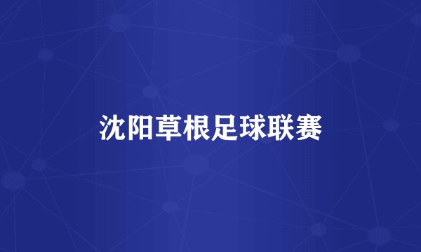 沈阳草根足球联赛