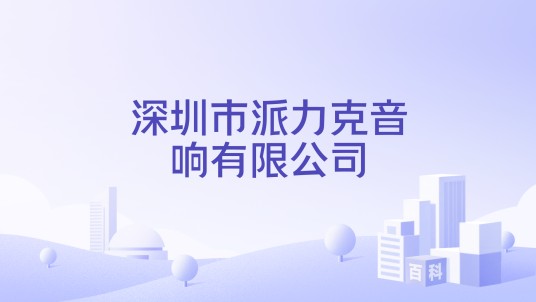 深圳市派力克音响有限公司