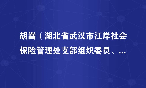 胡嵩（湖北省武汉市江岸社会保险管理处支部组织委员、武汉市人力资源和社会保障局江岸社会保险管理处副处长）
