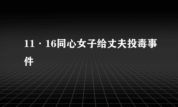 11·16同心女子给丈夫投毒事件