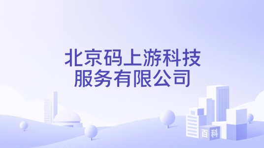 北京码上游科技服务有限公司