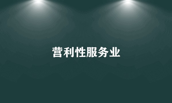 营利性服务业