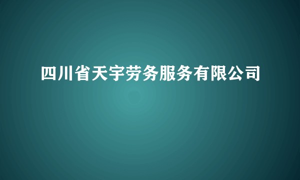 四川省天宇劳务服务有限公司