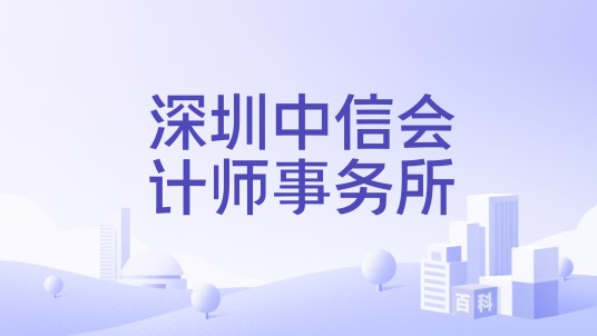深圳中信会计师事务所